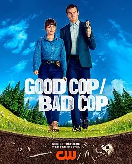《好警察/坏警察》：正义与混沌的边缘，双面警探的终极对决