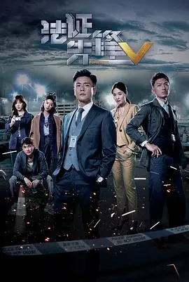 《法证先锋5国语》：真相之路，在迷雾中寻找正义