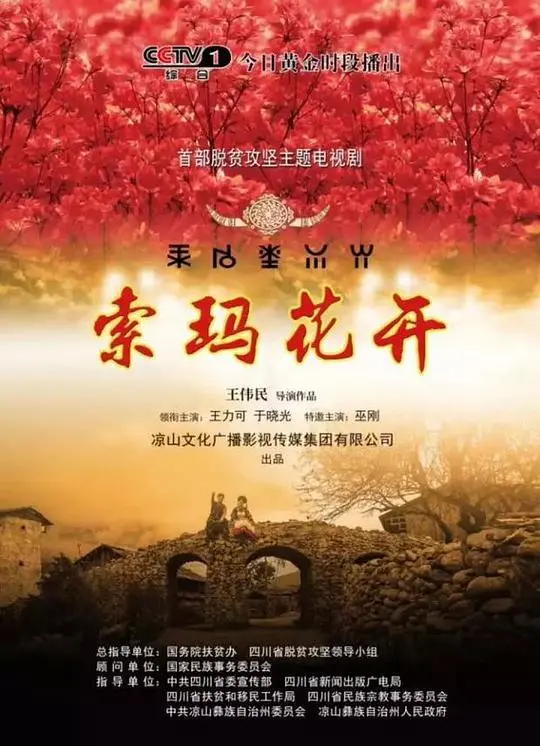 《索玛花开》：大凉山的扶贫之歌，绽放生命的光彩
