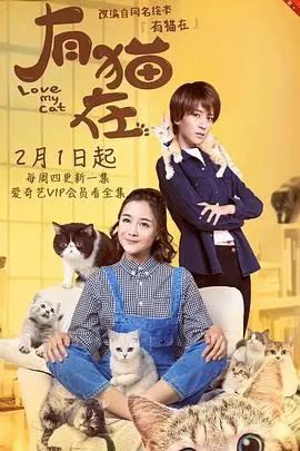 《有猫在》：温暖治愈的都市轻喜剧，猫咪与你的心灵奇旅
