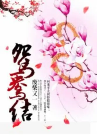 经典爱情片《鸳鸯结》：跨越时代的爱恋，宿命般的相遇与分离，结局令人唏嘘！